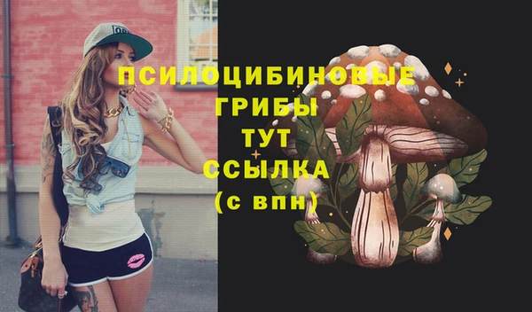 прущие крисы Алексеевка