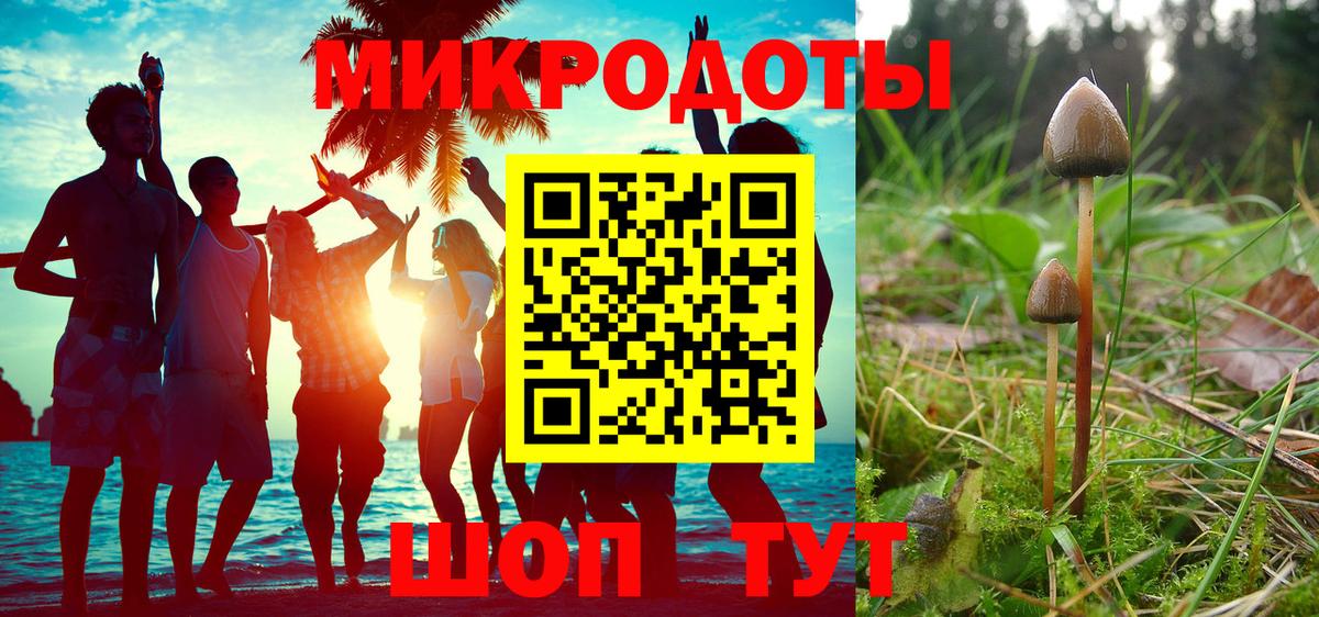 Галлюциногенные грибы Psilocybine cubensis  Вход с VPN  Тихорецк 