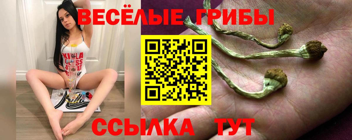 Псилоцибиновые грибы Cubensis Тихорецк